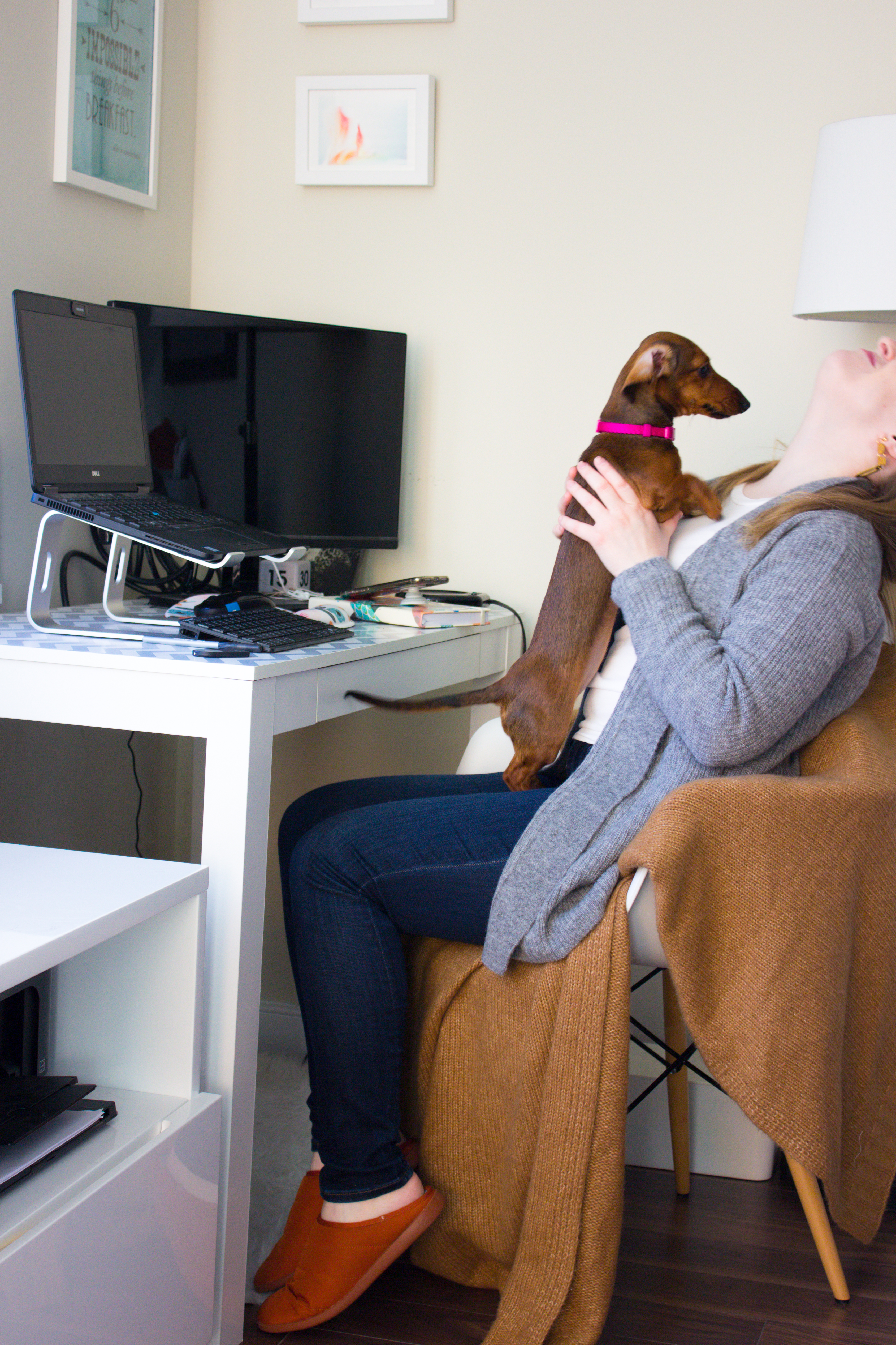 woman blogger working from home at desk with dog