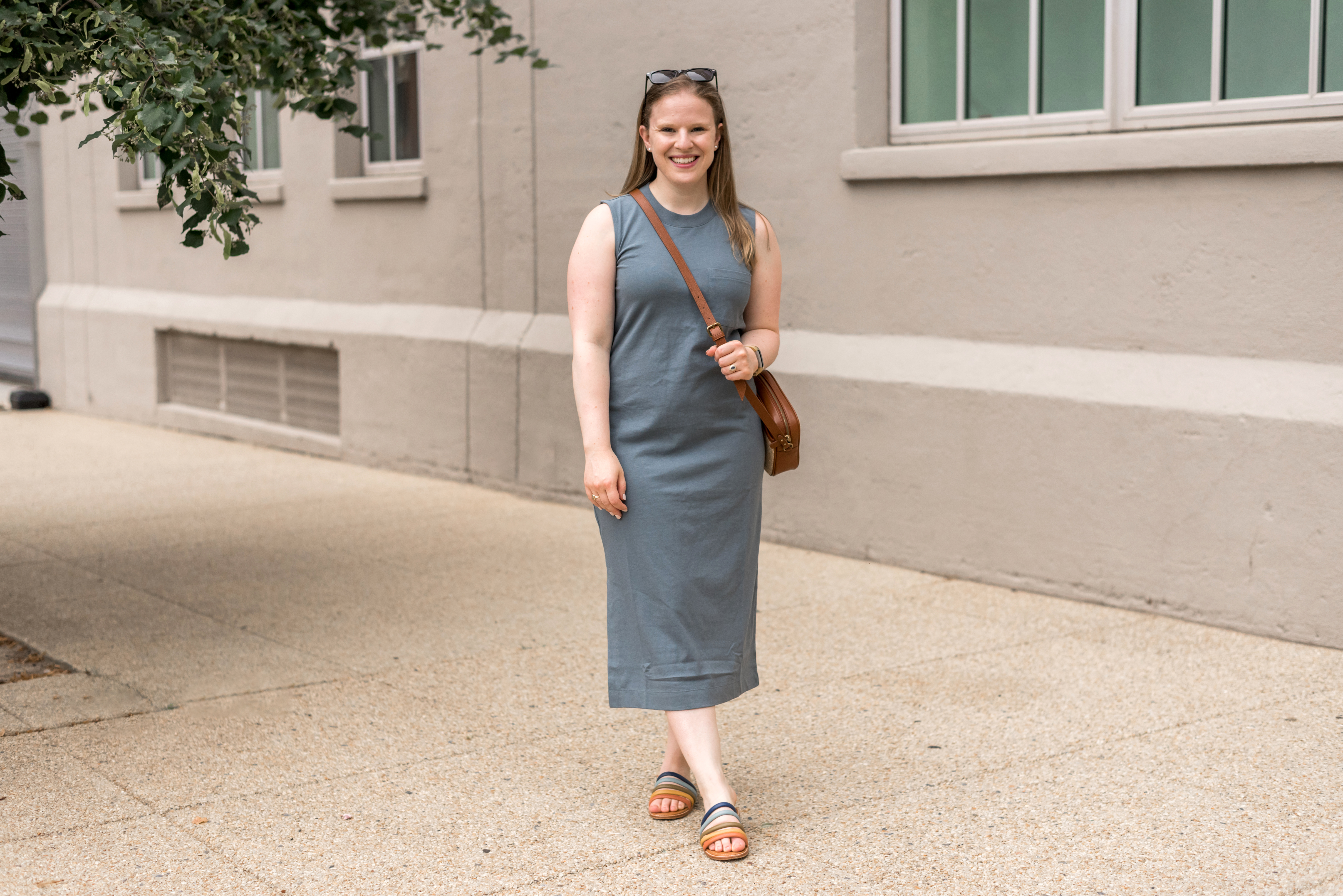 everlane women's tank dress