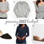 January 2017 Budget