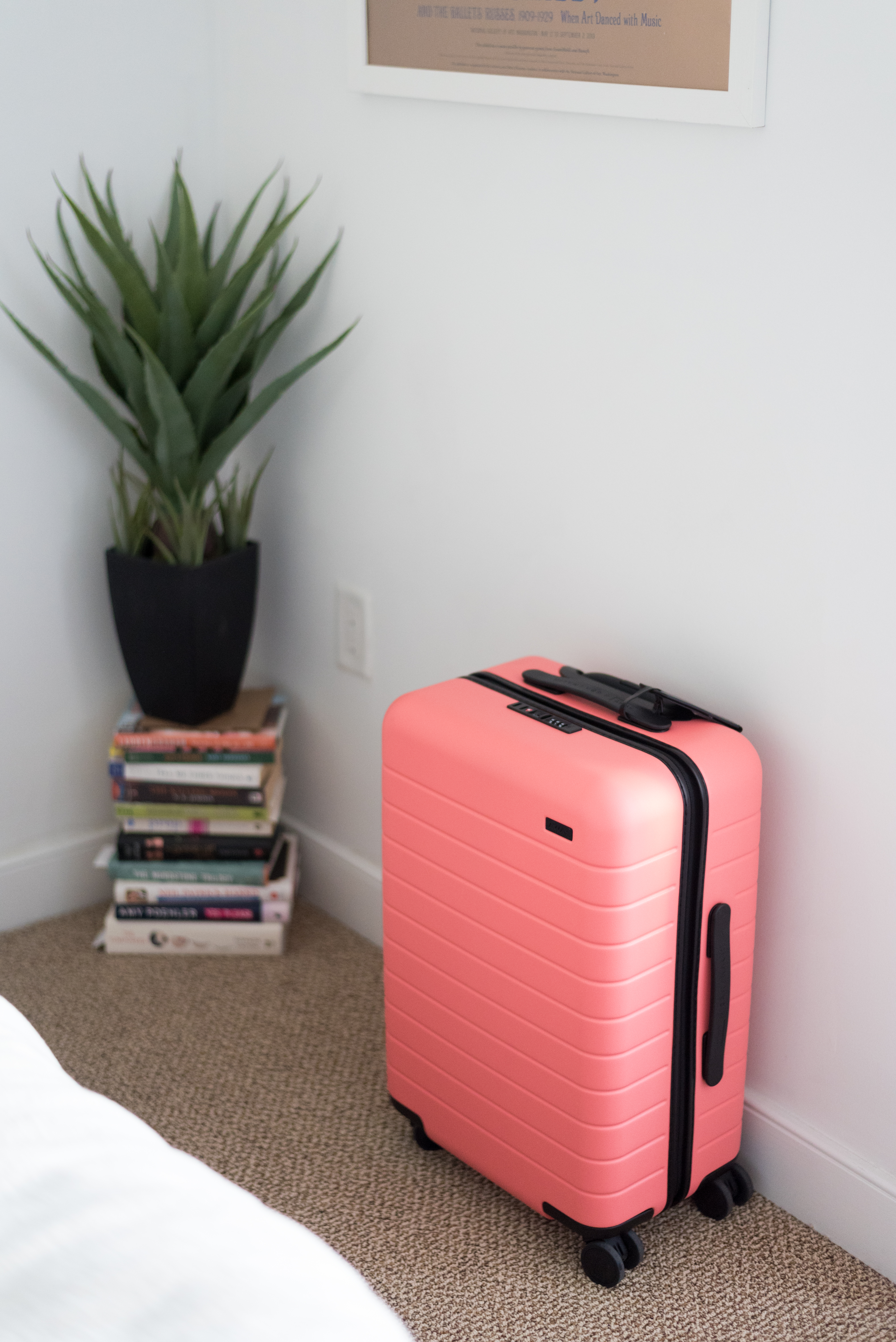 How I Pack My Carry On Suitcase | Something Good, @danaerinw , away x gray malin, the bigger carry on, away luggage coral