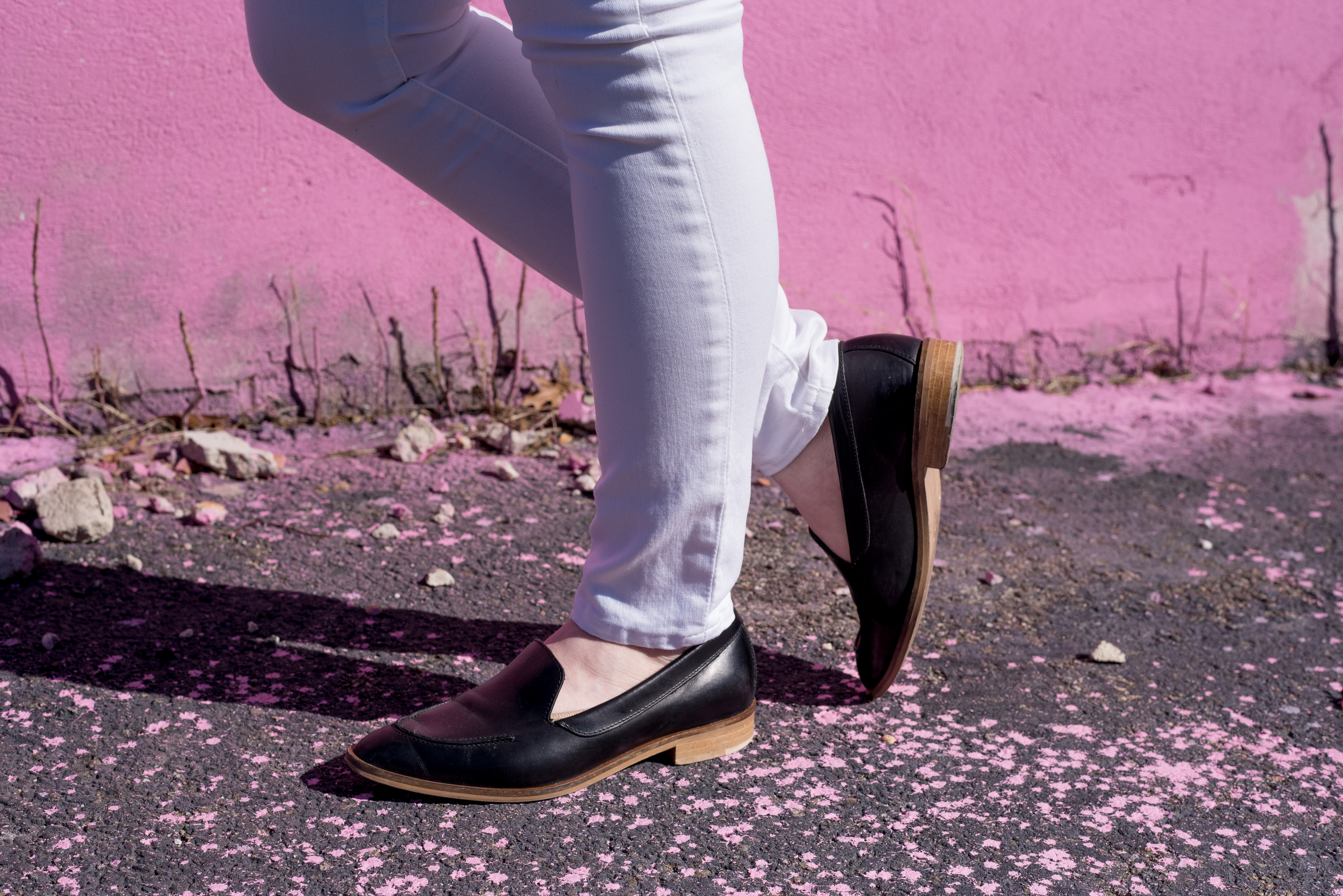 Everlane Loafer with white jeans