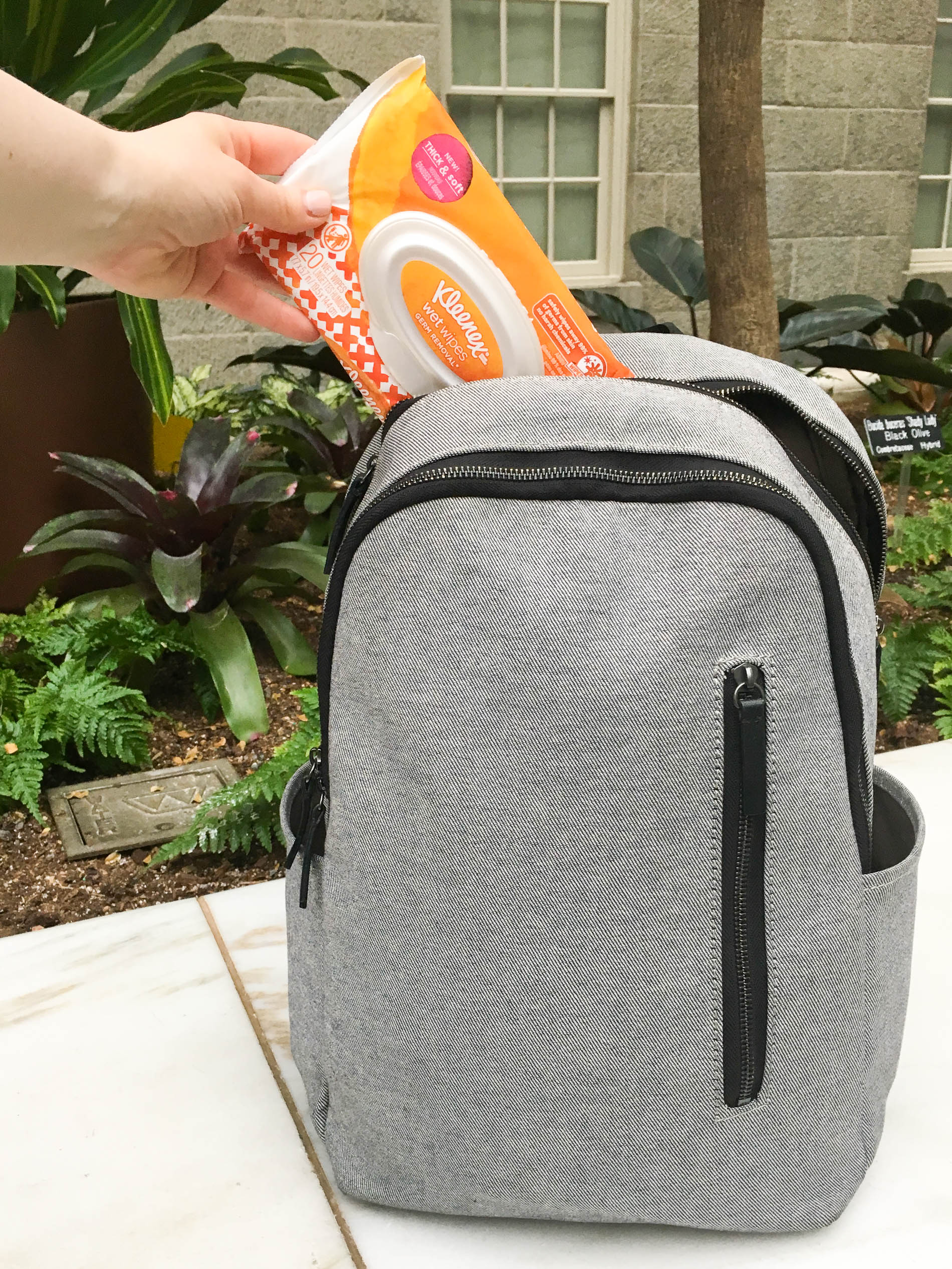 Germ Removal Kleenex Wet Wipes in the everlane modern zip backpack