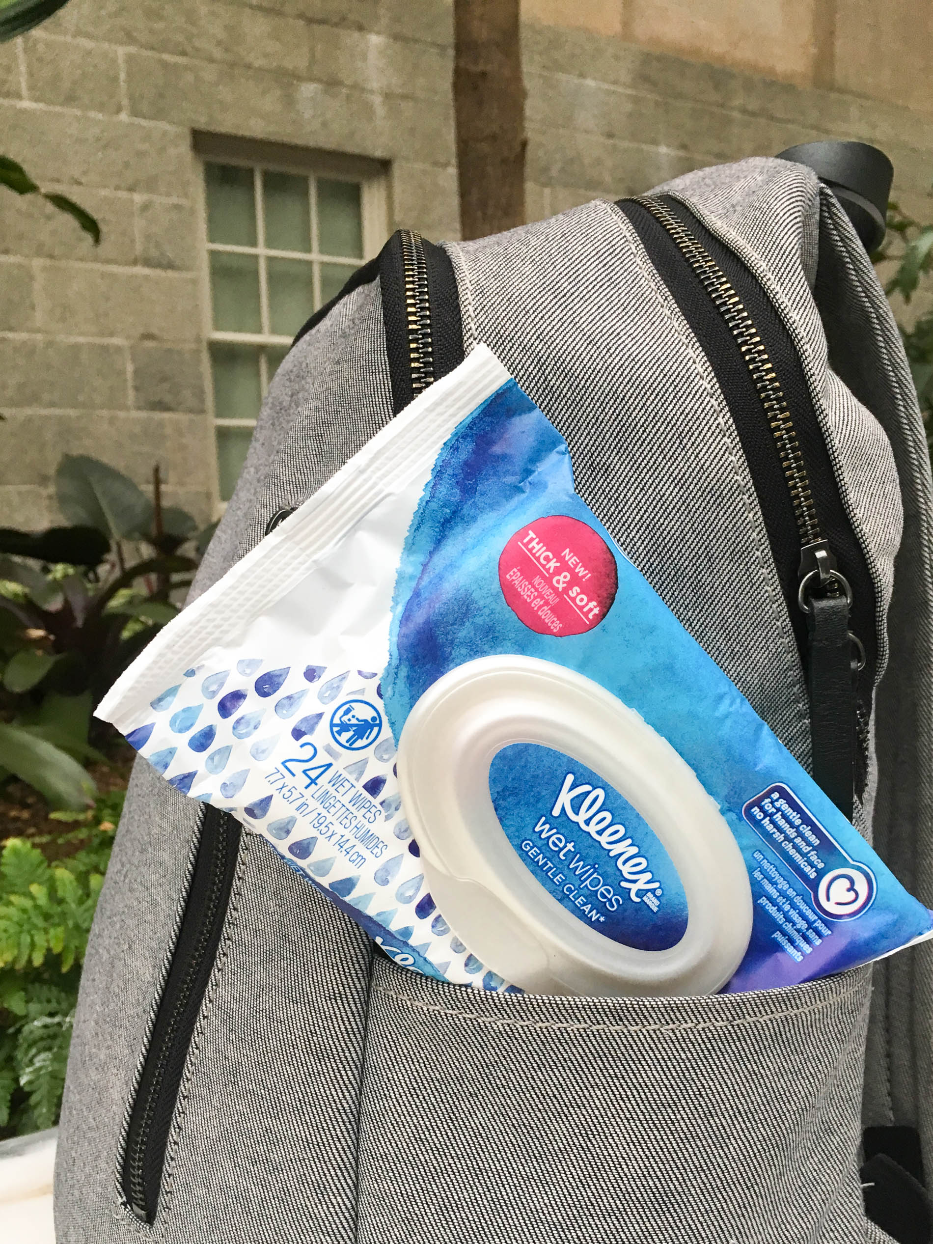everlane modern zip backpack with Kleenex Wet Wipes Gentle Clean in the pocket
