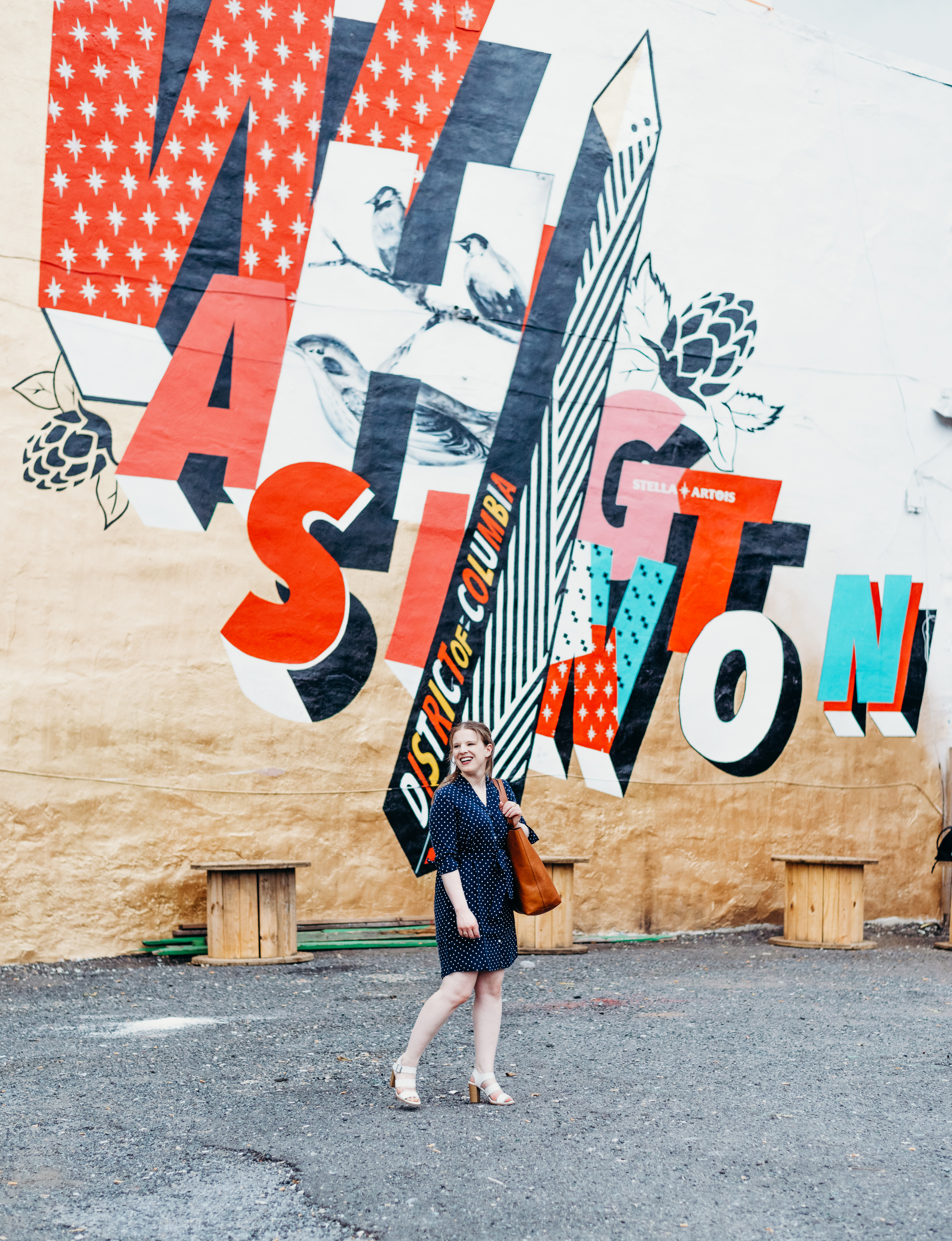 DC woman blogger wearing Everlane the Polka Dot Shirt Dress