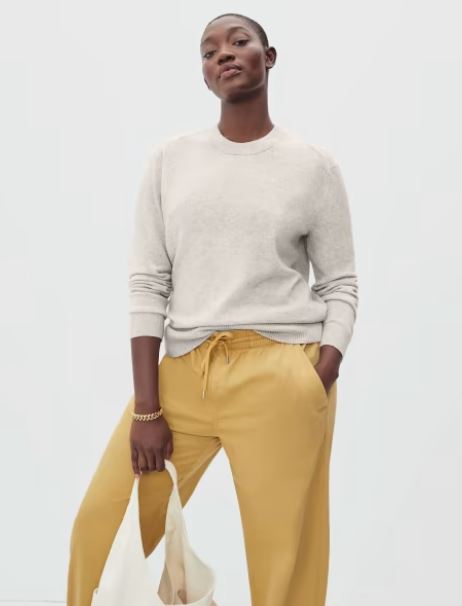 Everlane Cashmere Collared Sweater